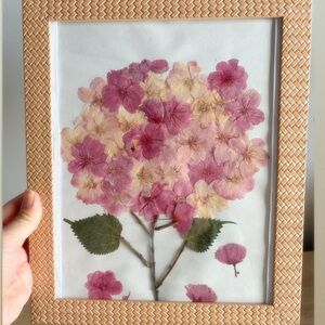 Hydrangeas Inspired Handmade Framed Pressed Pink Floral Art, 8x10”